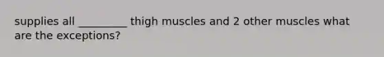 supplies all _________ thigh muscles and 2 other muscles what are the exceptions?