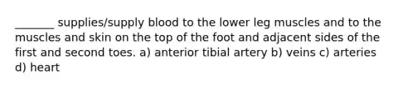 _______ supplies/supply blood to the lower leg muscles and to the muscles and skin on the top of the foot and adjacent sides of the first and second toes. a) anterior tibial artery b) veins c) arteries d) heart