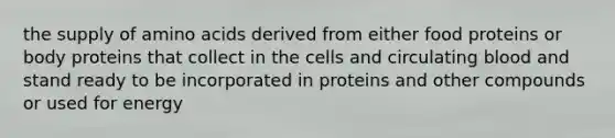 the supply of amino acids derived from either food proteins or body proteins that collect in the cells and circulating blood and stand ready to be incorporated in proteins and other compounds or used for energy