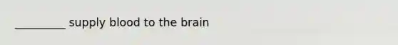 _________ supply blood to <a href='https://www.questionai.com/knowledge/kLMtJeqKp6-the-brain' class='anchor-knowledge'>the brain</a>