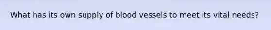 What has its own supply of blood vessels to meet its vital needs?