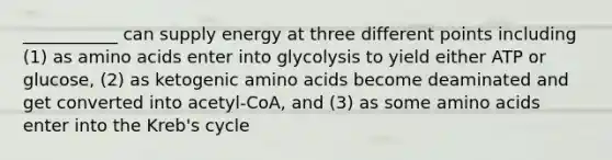 ___________ can supply energy at three different points including (1) as amino acids enter into glycolysis to yield either ATP or glucose, (2) as ketogenic amino acids become deaminated and get converted into acetyl-CoA, and (3) as some amino acids enter into the Kreb's cycle