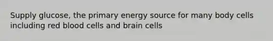 Supply glucose, the primary energy source for many body cells including red blood cells and brain cells