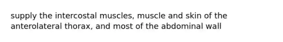 supply the intercostal muscles, muscle and skin of the anterolateral thorax, and most of the abdominal wall