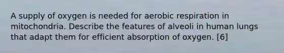 A supply of oxygen is needed for aerobic respiration in mitochondria. Describe the features of alveoli in human lungs that adapt them for efficient absorption of oxygen. [6]