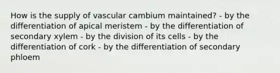 How is the supply of vascular cambium maintained? - by the differentiation of apical meristem - by the differentiation of secondary xylem - by the division of its cells - by the differentiation of cork - by the differentiation of secondary phloem