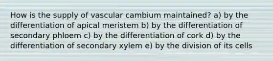 How is the supply of vascular cambium maintained? a) by the differentiation of apical meristem b) by the differentiation of secondary phloem c) by the differentiation of cork d) by the differentiation of secondary xylem e) by the division of its cells