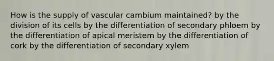 How is the supply of vascular cambium maintained? by the division of its cells by the differentiation of secondary phloem by the differentiation of apical meristem by the differentiation of cork by the differentiation of secondary xylem