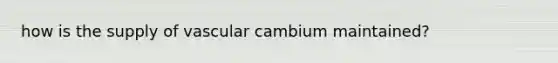 how is the supply of vascular cambium maintained?