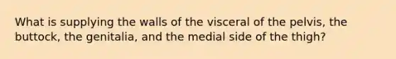 What is supplying the walls of the visceral of the pelvis, the buttock, the genitalia, and the medial side of the thigh?