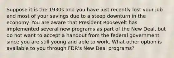 Suppose it is the 1930s and you have just recently lost your job and most of your savings due to a steep downturn in the economy. You are aware that President Roosevelt has implemented several new programs as part of the New Deal, but do not want to accept a handout from the federal government since you are still young and able to work. What other option is available to you through FDR's New Deal programs?