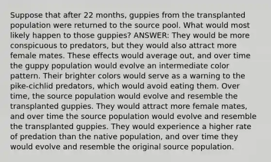 Suppose that after 22 months, guppies from the transplanted population were returned to the source pool. What would most likely happen to those guppies? ANSWER: They would be more conspicuous to predators, but they would also attract more female mates. These effects would average out, and over time the guppy population would evolve an intermediate color pattern. Their brighter colors would serve as a warning to the pike-cichlid predators, which would avoid eating them. Over time, the source population would evolve and resemble the transplanted guppies. They would attract more female mates, and over time the source population would evolve and resemble the transplanted guppies. They would experience a higher rate of predation than the native population, and over time they would evolve and resemble the original source population.