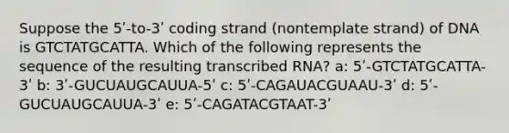 Suppose the 5ʹ-to-3ʹ coding strand (nontemplate strand) of DNA is GTCTATGCATTA. Which of the following represents the sequence of the resulting transcribed RNA? a: 5ʹ-GTCTATGCATTA-3ʹ b: 3ʹ-GUCUAUGCAUUA-5ʹ c: 5ʹ-CAGAUACGUAAU-3ʹ d: 5ʹ-GUCUAUGCAUUA-3ʹ e: 5ʹ-CAGATACGTAAT-3ʹ