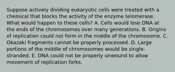 Suppose actively dividing eukaryotic cells were treated with a chemical that blocks the activity of the enzyme telomerase. What would happen to these cells? A. Cells would lose DNA at the ends of the chromosomes over many generations. B. Origins of replication could not form in the middle of the chromosome. C. Okazaki fragments cannot be properly processed. D. Large portions of the middle of chromosomes would be single-stranded. E. DNA could not be properly unwound to allow movement of replication forks.