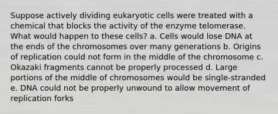 Suppose actively dividing eukaryotic cells were treated with a chemical that blocks the activity of the enzyme telomerase. What would happen to these cells? a. Cells would lose DNA at the ends of the chromosomes over many generations b. Origins of replication could not form in the middle of the chromosome c. Okazaki fragments cannot be properly processed d. Large portions of the middle of chromosomes would be single-stranded e. DNA could not be properly unwound to allow movement of replication forks