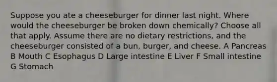 Suppose you ate a cheeseburger for dinner last night. Where would the cheeseburger be broken down chemically? Choose all that apply. Assume there are no dietary restrictions, and the cheeseburger consisted of a bun, burger, and cheese. A Pancreas B Mouth C Esophagus D Large intestine E Liver F Small intestine G Stomach