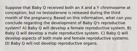 Suppose that Baby Q received both an X and a Y chromosome at conception, but no testosterone is released during the third month of the pregnancy. Based on this information, what can you conclude regarding the development of Baby Q's reproductive system? A) Baby Q will develop a female reproductive system. B) Baby Q will develop a male reproductive system. C) Baby Q will develop aspects of both male and female reproductive systems. D) Baby Q will not develop reproductive organs.