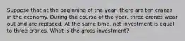 Suppose that at the beginning of the year, there are ten cranes in the economy. During the course of the year, three cranes wear out and are replaced. At the same time, net investment is equal to three cranes. What is the gross investment?