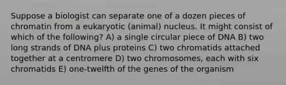 Suppose a biologist can separate one of a dozen pieces of chromatin from a eukaryotic (animal) nucleus. It might consist of which of the following? A) a single circular piece of DNA B) two long strands of DNA plus proteins C) two chromatids attached together at a centromere D) two chromosomes, each with six chromatids E) one-twelfth of the genes of the organism