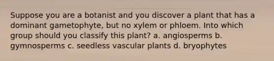 Suppose you are a botanist and you discover a plant that has a dominant gametophyte, but no xylem or phloem. Into which group should you classify this plant? a. angiosperms b. gymnosperms c. seedless <a href='https://www.questionai.com/knowledge/kbaUXKuBoK-vascular-plants' class='anchor-knowledge'>vascular plants</a> d. bryophytes