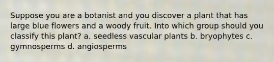 Suppose you are a botanist and you discover a plant that has large blue flowers and a woody fruit. Into which group should you classify this plant? a. seedless <a href='https://www.questionai.com/knowledge/kbaUXKuBoK-vascular-plants' class='anchor-knowledge'>vascular plants</a> b. bryophytes c. gymnosperms d. angiosperms