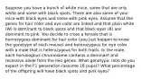 Suppose you have a bunch of white mice, some that are only white and some with black spots. There are also some of your mice with black eyes and some with pink eyes. Assume that the genes for hair color and eye color are linked and that plain white (W) is dominant to black spots and that black eyes (B) are dominant to pink. You decide to cross a female that is homozygous dominant for hair color (you just happen to know the genotype of each mouse) and heterozygous for eye color with a male that is heterozygous for both traits. In the male, each homologous chromosome contains a dominant and recessive allele from the two genes. What genotypic ratio do you expect in the F1 generation (assume 16 pups)? What percentage of the offspring will have black spots and pink eyes?