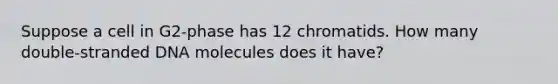 Suppose a cell in G2-phase has 12 chromatids. How many double-stranded DNA molecules does it have?