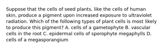 Suppose that the cells of seed plants, like the cells of human skin, produce a pigment upon increased exposure to ultraviolet radiation. Which of the following types of plant cells is most likely to produce this pigment? A. cells of a gametophyte B. vascular cells in the root C. epidermal cells of sporophyte megaphylls D. cells of a megasporangium