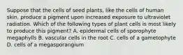 Suppose that the cells of seed plants, like the cells of human skin, produce a pigment upon increased exposure to ultraviolet radiation. Which of the following types of plant cells is most likely to produce this pigment? A. epidermal cells of sporophyte megaphylls B. vascular cells in the root C. cells of a gametophyte D. cells of a megasporangium