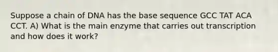 Suppose a chain of DNA has the base sequence GCC TAT ACA CCT. A) What is the main enzyme that carries out transcription and how does it work?