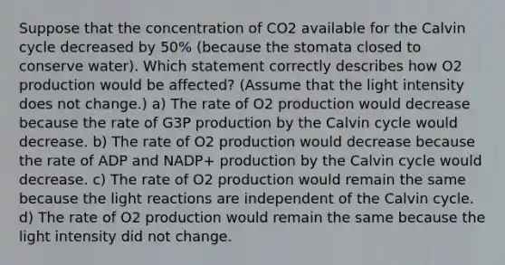 Suppose that the concentration of CO2 available for the Calvin cycle decreased by 50% (because the stomata closed to conserve water). Which statement correctly describes how O2 production would be affected? (Assume that the light intensity does not change.) a) The rate of O2 production would decrease because the rate of G3P production by the Calvin cycle would decrease. b) The rate of O2 production would decrease because the rate of ADP and NADP+ production by the Calvin cycle would decrease. c) The rate of O2 production would remain the same because the <a href='https://www.questionai.com/knowledge/kSUoWrrvoC-light-reactions' class='anchor-knowledge'>light reactions</a> are independent of the Calvin cycle. d) The rate of O2 production would remain the same because the light intensity did not change.