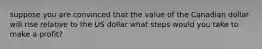 suppose you are convinced that the value of the Canadian dollar will rise relative to the US dollar what steps would you take to make a profit?