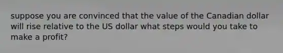 suppose you are convinced that the value of the Canadian dollar will rise relative to the US dollar what steps would you take to make a profit?