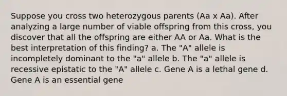 Suppose you cross two heterozygous parents (Aa x Aa). After analyzing a large number of viable offspring from this cross, you discover that all the offspring are either AA or Aa. What is the best interpretation of this finding? a. The "A" allele is incompletely dominant to the "a" allele b. The "a" allele is recessive epistatic to the "A" allele c. Gene A is a lethal gene d. Gene A is an essential gene