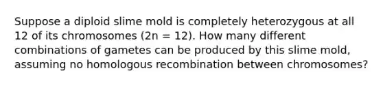 Suppose a diploid slime mold is completely heterozygous at all 12 of its chromosomes (2n = 12). How many different combinations of gametes can be produced by this slime mold, assuming no homologous recombination between chromosomes?