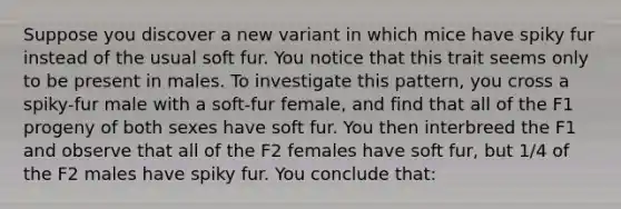 Suppose you discover a new variant in which mice have spiky fur instead of the usual soft fur. You notice that this trait seems only to be present in males. To investigate this pattern, you cross a spiky-fur male with a soft-fur female, and find that all of the F1 progeny of both sexes have soft fur. You then interbreed the F1 and observe that all of the F2 females have soft fur, but 1/4 of the F2 males have spiky fur. You conclude that: