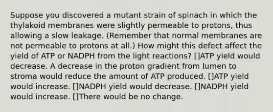 Suppose you discovered a mutant strain of spinach in which the thylakoid membranes were slightly permeable to protons, thus allowing a slow leakage. (Remember that normal membranes are not permeable to protons at all.) How might this defect affect the yield of ATP or NADPH from the light reactions? []ATP yield would decrease. A decrease in the proton gradient from lumen to stroma would reduce the amount of ATP produced. []ATP yield would increase. []NADPH yield would decrease. []NADPH yield would increase. []There would be no change.