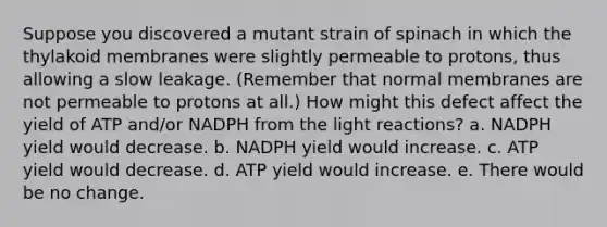 Suppose you discovered a mutant strain of spinach in which the thylakoid membranes were slightly permeable to protons, thus allowing a slow leakage. (Remember that normal membranes are not permeable to protons at all.) How might this defect affect the yield of ATP and/or NADPH from the light reactions? a. NADPH yield would decrease. b. NADPH yield would increase. c. ATP yield would decrease. d. ATP yield would increase. e. There would be no change.