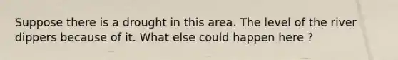 Suppose there is a drought in this area. The level of the river dippers because of it. What else could happen here ?