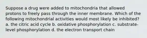 Suppose a drug were added to mitochondria that allowed protons to freely pass through the inner membrane. Which of the following mitochondrial activities would most likely be inhibited? a. the citric acid cycle b. oxidative phosphorylation c. substrate-level phosphorylation d. the electron transport chain