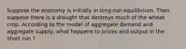 Suppose the economy is initially in long-run equilibrium. Then suppose there is a drought that destroys much of the wheat crop. According to the model of aggregate demand and aggregate supply, what happens to prices and output in the short run ?