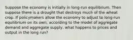 Suppose the economy is initially in long-run equilibrium. Then suppose there is a drought that destroys much of the wheat crop. If policymakers allow the economy to adjust to long-run equilibrium on its own, according to the model of aggregate demand and aggregate supply, what happens to prices and output in the long run?