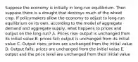 Suppose the economy is initially in long-run equilibrium. Then suppose there is a drought that destroys much of the wheat crop. If policymakers allow the economy to adjust to long-run equilibrium on its own, according to the model of aggregate demand and aggregate supply, what happens to prices and output on the long run? A. Prices rise; output is unchanged from its initial value B. prices fall; output is unchanged from its initial value C. Output rises; prices are unchanged from the initial value D. Output falls; prices are unchanged from the initial value E. output and the price level are unchanged from their initial value