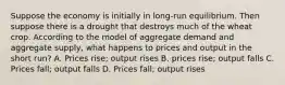 Suppose the economy is initially in long-run equilibrium. Then suppose there is a drought that destroys much of the wheat crop. According to the model of aggregate demand and aggregate supply, what happens to prices and output in the short run? A. Prices rise; output rises B. prices rise; output falls C. Prices fall; output falls D. Prices fall; output rises