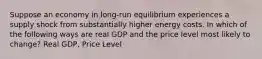 Suppose an economy in long-run equilibrium experiences a supply shock from substantially higher energy costs. In which of the following ways are real GDP and the price level most likely to change? Real GDP, Price Level