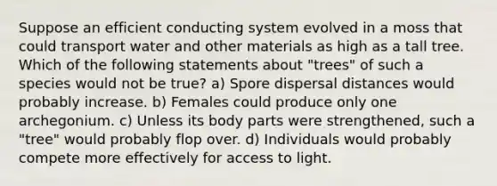 Suppose an efficient conducting system evolved in a moss that could transport water and other materials as high as a tall tree. Which of the following statements about "trees" of such a species would not be true? a) Spore dispersal distances would probably increase. b) Females could produce only one archegonium. c) Unless its body parts were strengthened, such a "tree" would probably flop over. d) Individuals would probably compete more effectively for access to light.