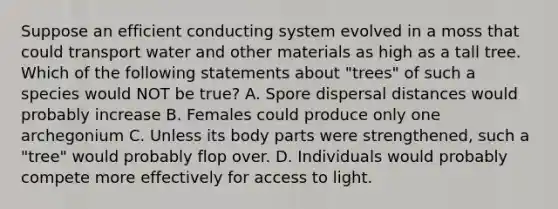 Suppose an efficient conducting system evolved in a moss that could transport water and other materials as high as a tall tree. Which of the following statements about "trees" of such a species would NOT be true? A. Spore dispersal distances would probably increase B. Females could produce only one archegonium C. Unless its body parts were strengthened, such a "tree" would probably flop over. D. Individuals would probably compete more effectively for access to light.