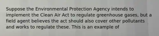 Suppose the Environmental Protection Agency intends to implement the Clean Air Act to regulate greenhouse gases, but a field agent believes the act should also cover other pollutants and works to regulate these. This is an example of