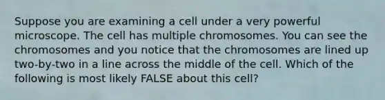 Suppose you are examining a cell under a very powerful microscope. The cell has multiple chromosomes. You can see the chromosomes and you notice that the chromosomes are lined up two-by-two in a line across the middle of the cell. Which of the following is most likely FALSE about this cell?