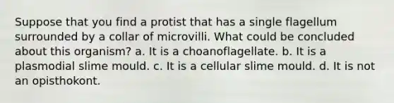 Suppose that you find a protist that has a single flagellum surrounded by a collar of microvilli. What could be concluded about this organism? a. It is a choanoflagellate. b. It is a plasmodial slime mould. c. It is a cellular slime mould. d. It is not an opisthokont.